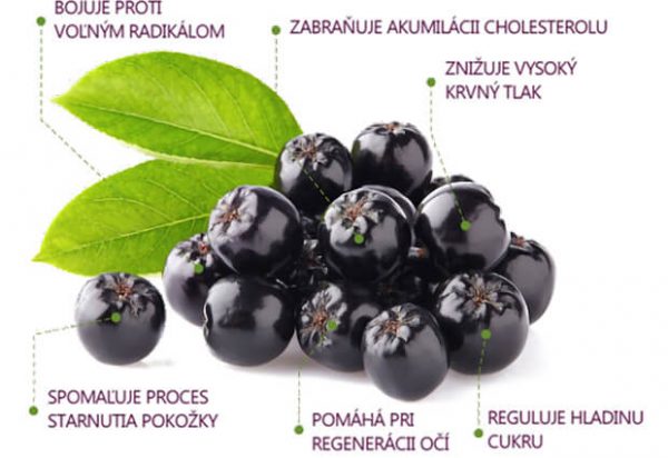 MOY COLLAGEN PREMIUM ARÓNIA 200g - morský kolagén typ I + 20% extrakt ARÓNIA - Image 4