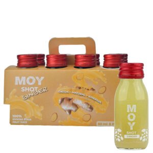 MOY SHOT GINGER (zázvor) 8x60ml