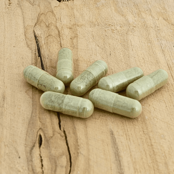 Moringa olejodarná - 310 mg - 90 kapsúl MOY - Image 2
