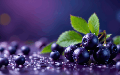 Arónia: Slovenský superšampión v kategórii antioxidantov