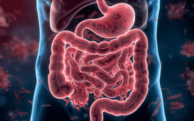 Prečo vaše probiotiká možno nefungujú a ako im arónia pomôže prežiť.