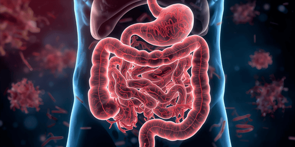 črevo na fotke a zdravie človeka s aroniou