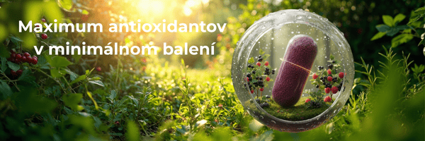 na banery od firmy zamio je na pozadí zobrazená lesná lúka - les s rastilinami a v bubline kapsula s lených bobuľ prášku 