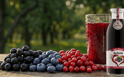 Bobuľový trojlístok zdravia: Brusnica, Čučoriedka, Arónia – Fakty bez mýtov