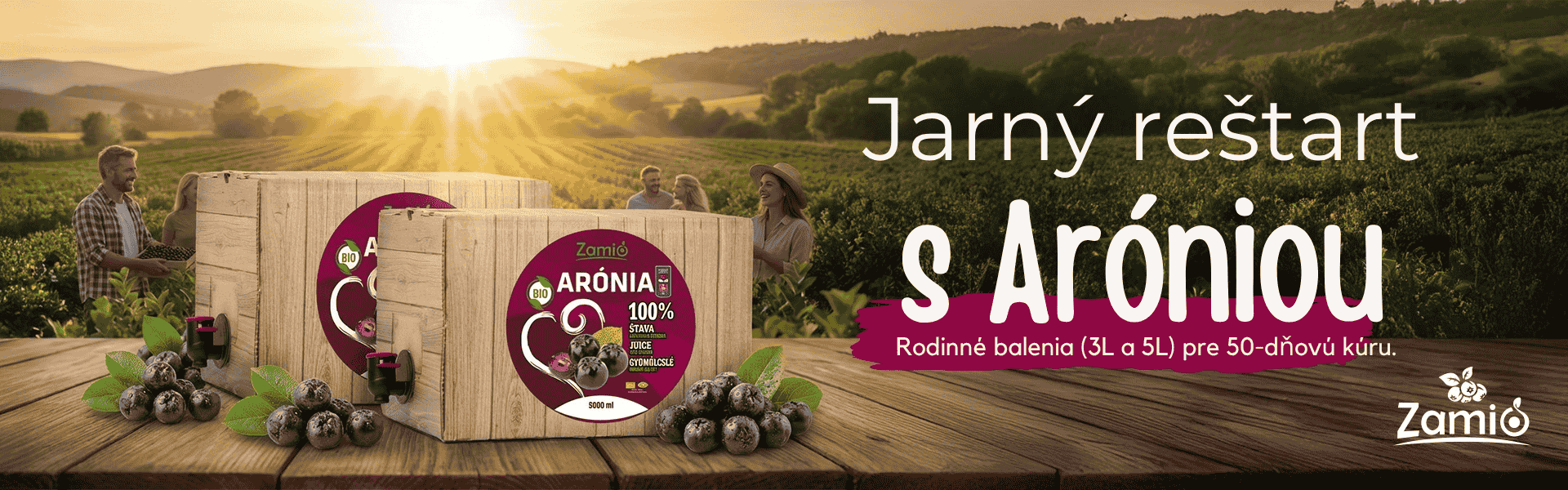 aronia baner balenia zamio rodinné 3l - 5l balenia na plantaži zamio kde ludia zbieraju aroniu