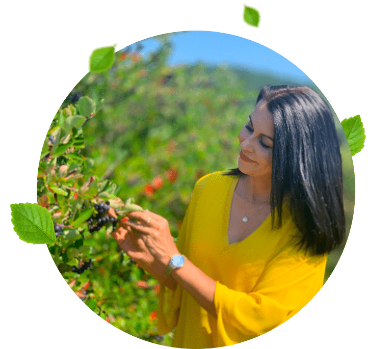 Bordové srdce sa skladá z prvkov ovocia Arónie ako znak zdravia