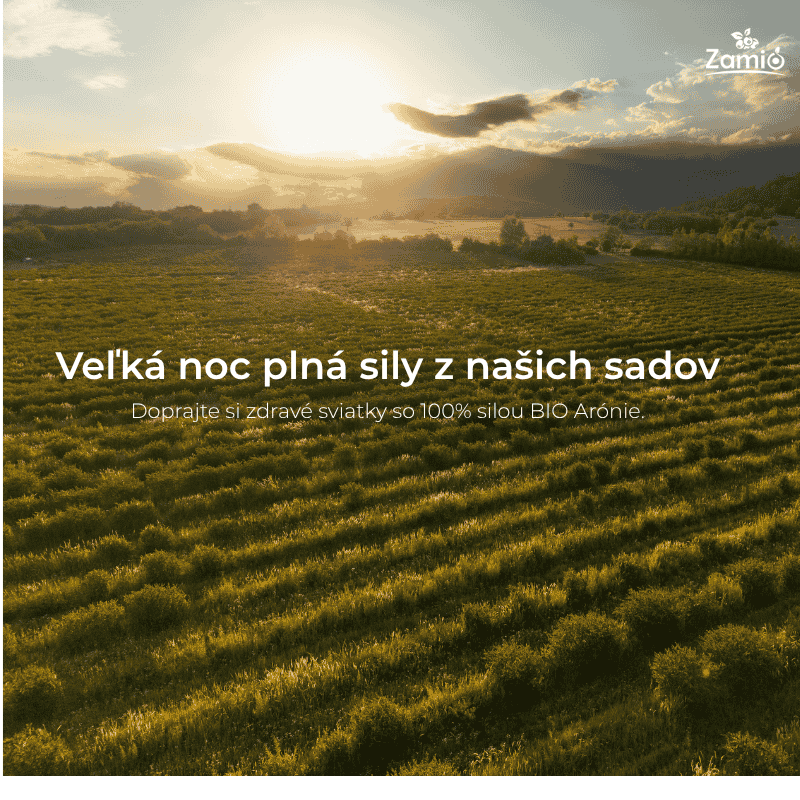 velka noc sady zamio